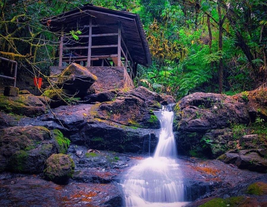 Grotto Mini-Falls
